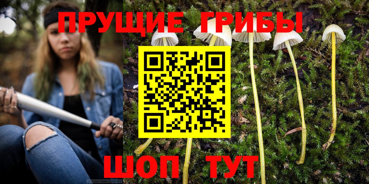 Псилоцибиновые грибы Psilocybine cubensis Учалы
