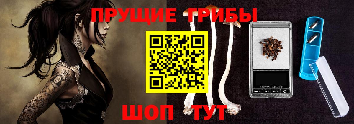 Галлюциногенные грибы Psilocybine cubensis  Вход с VPN  Учалы 